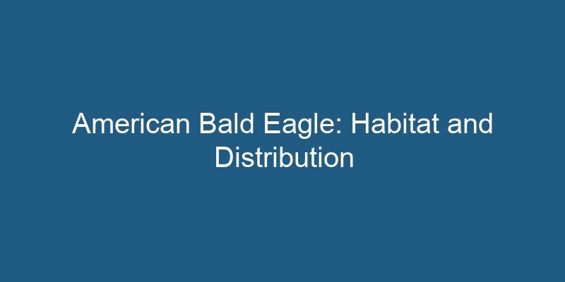 American Bald Eagle Habitat And Distribution 4776 800x400 