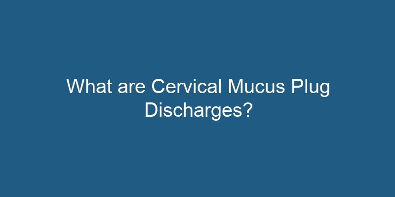 What are Cervical Mucus Plug Discharges?